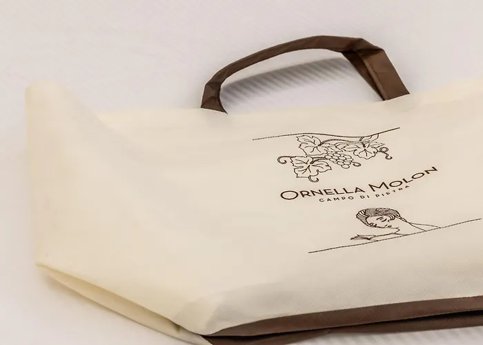 Alloggio per agriturismo Relais Barchessa Molon *